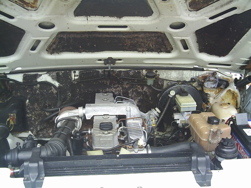 Cofre-motor.JPG
