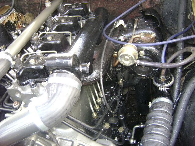 DSC01785.JPG
