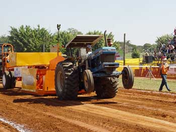 holamb2006%20(103).jpg