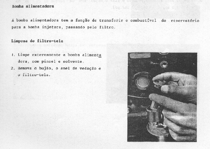 Limpeza da Bomba Alim.jpg