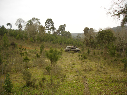pr2.jpg