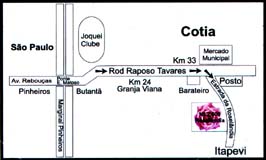 roselandia.jpg
