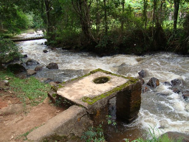 Ruina de privada com Hidra.jpg