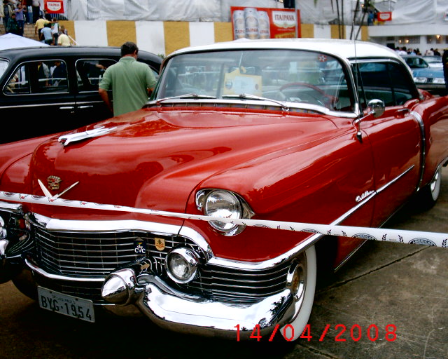S1010013.JPG