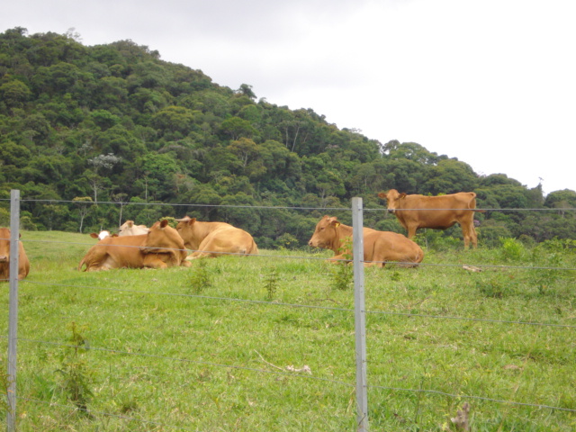 sitio 006.jpg
