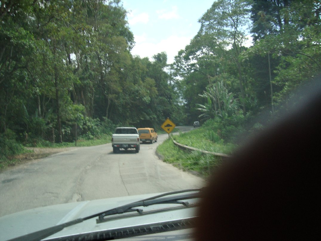 S.Lourenço 2008 3.jpg