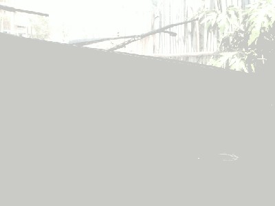 20150816_135018.jpg