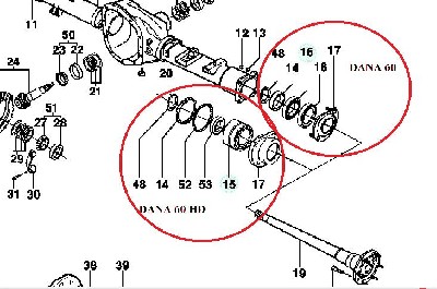 DANA 60 e 60 HD.jpg