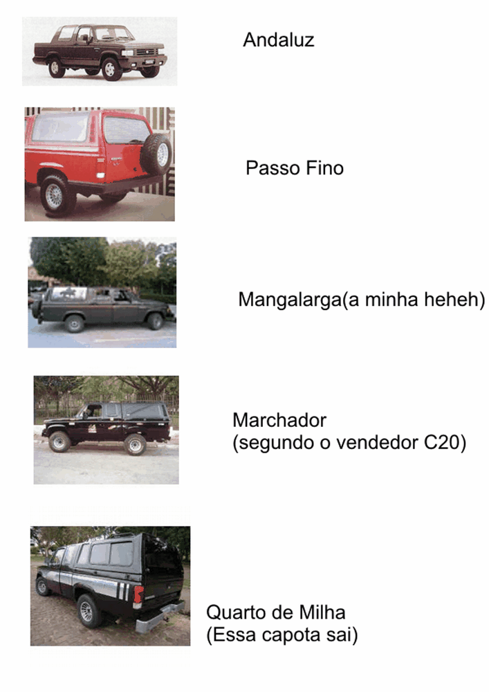 tn_Modelos Brasinca.gif